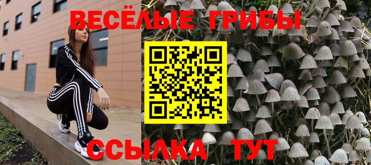 Галлюциногенные грибы мухоморы  Вход с VPN  как найти закладки  Краснознаменск  Галлюциногенные грибы MAGIC MUSHROOMS 